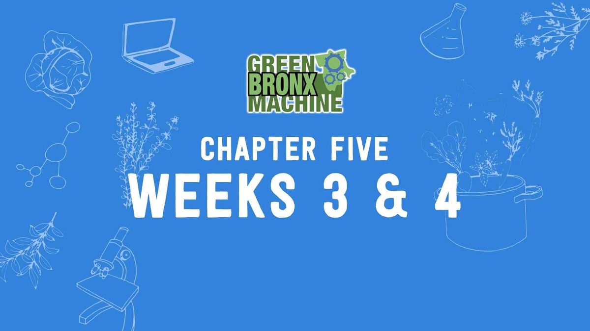 GBM Curriculum - Chapter 5