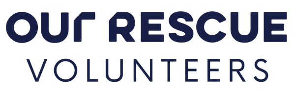 Volunteers Logo Navy