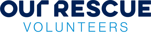 Volunteer Logo - Light Blue