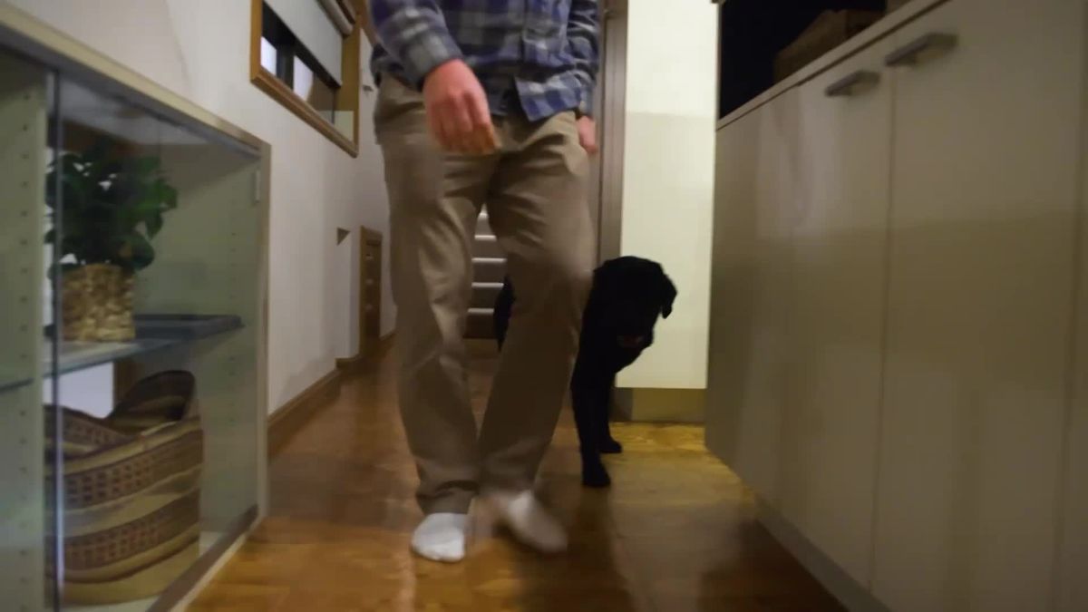 Day In The Life Of An ESD K9