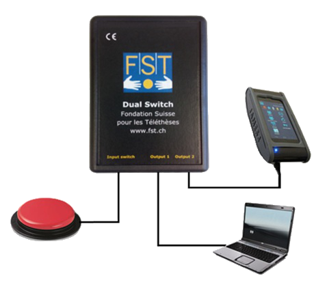 DualSwitch – FST