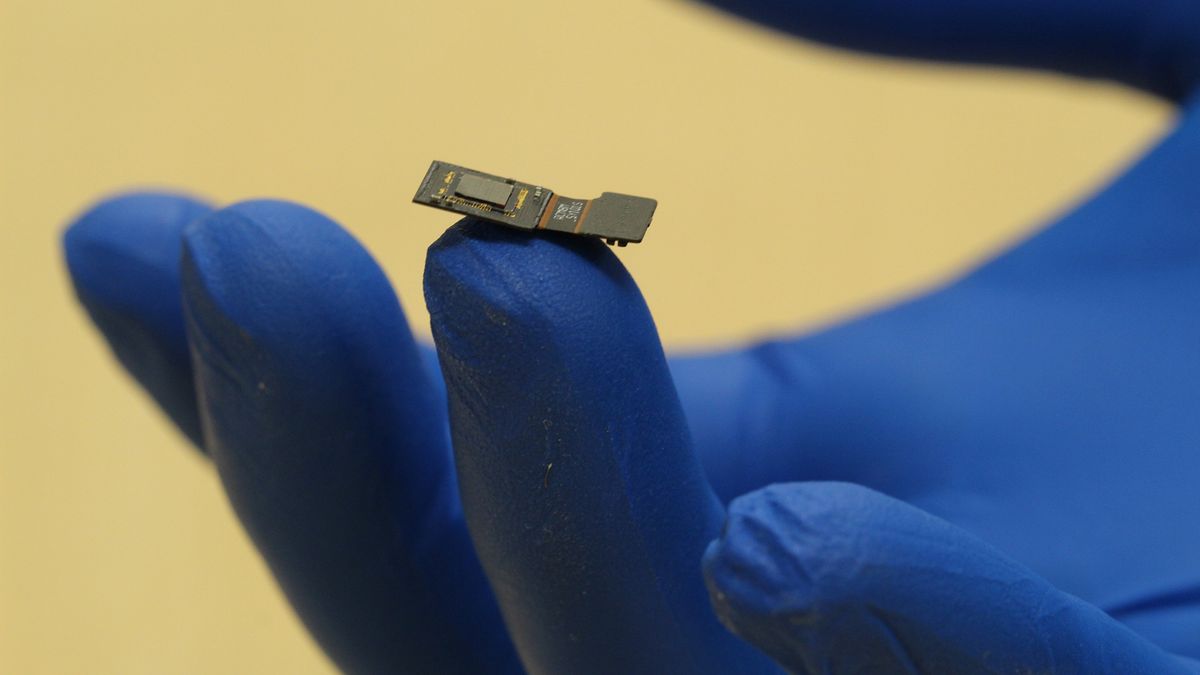 This chip beams images onto the brain to help the blind see again | Alphr