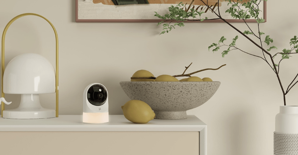 This home security camera can also monitor for falls and call for help | The Verge