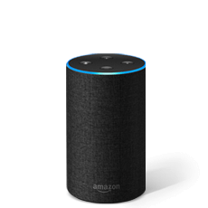 Amazon Echo, Echo Dot, Echo Plus - Best Buy Canada