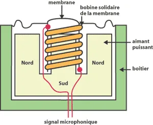 Le microphone électrodynamique à bobine mobile - E-book de la sonorisation - l'Agence culturelle …