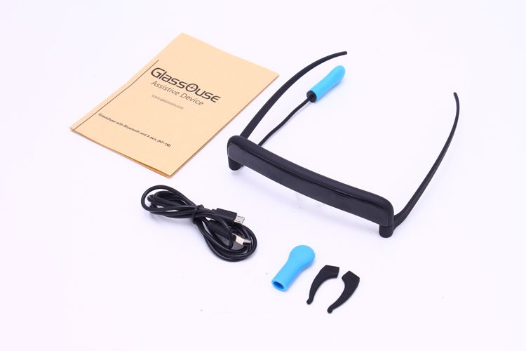 Glassouse Assistive Device