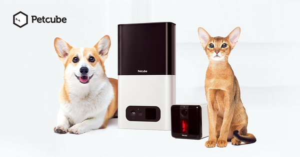 Petcube: Remote Wi-Fi Pet Camera | Pet Monitor System