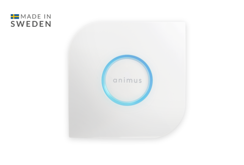 Animus Home