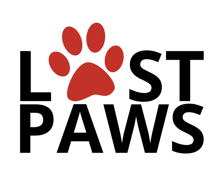 Lost Paws by ASUS