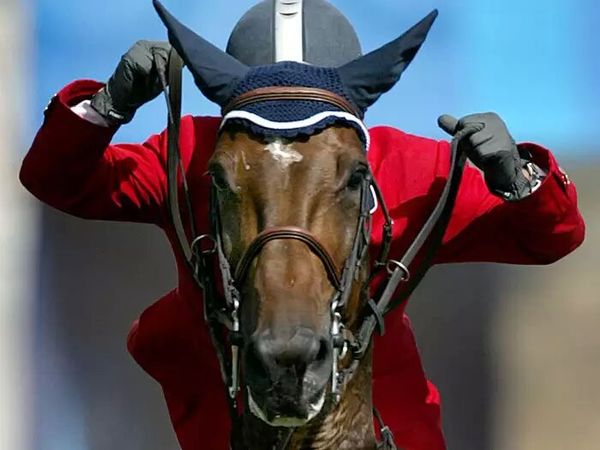 argentinas-federico-sztyrle-rides-the-horse-who-knows-lilly-during-the-individ