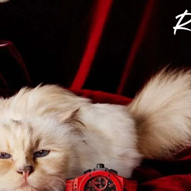 Something About Rocks Instagram