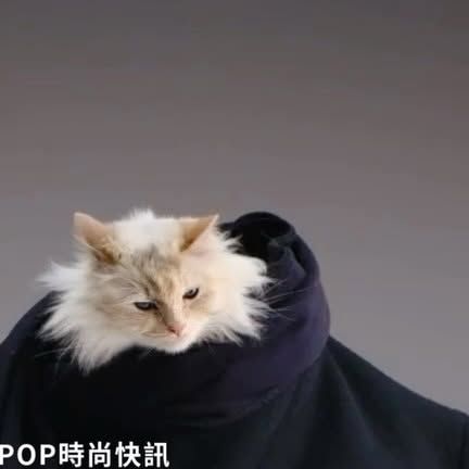 Pop Lady Mag Instagram