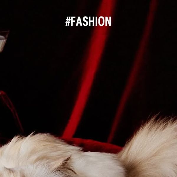 A2Z Fashion Magazine Instagram