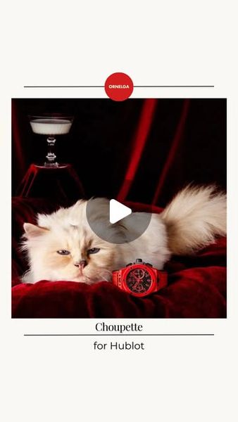 Ornelga Mag | Instagram