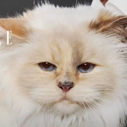 Elle Taiwan Instagram