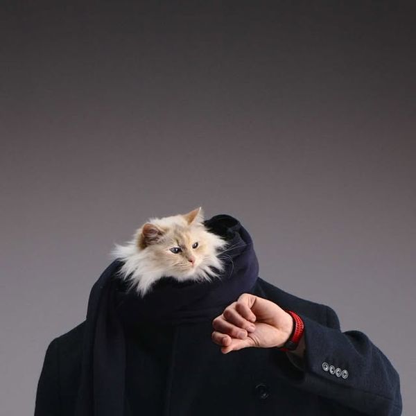 Jack Forster Instagram