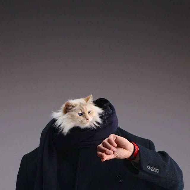 Jack Forster Instagram