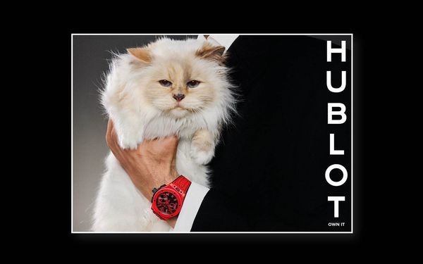 Marketing Scout (DE)