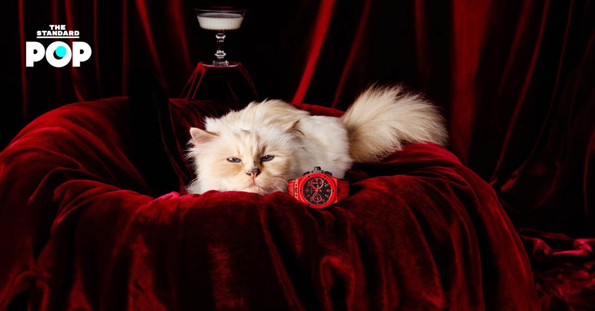 The Standard Thailand