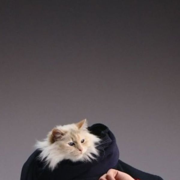 Culture Élite |Instagram