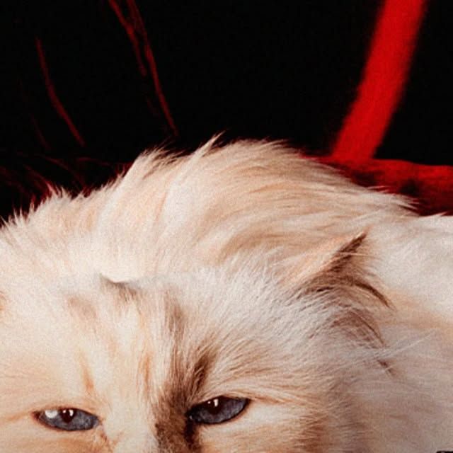 Harpers Bazaar Instagram