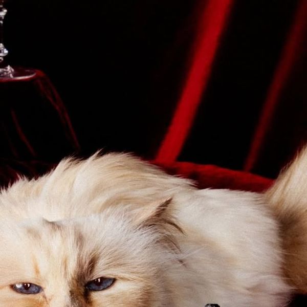 Harper's BAZAAR Taiwan Instagram