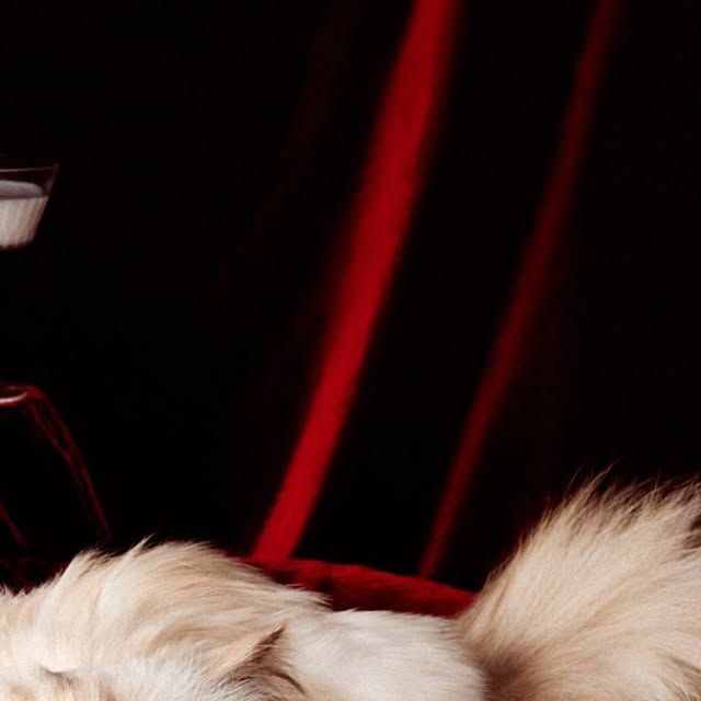 Up Next Designer Instagram