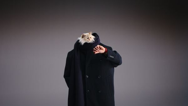 The New York Times Style Magazine (Aus)