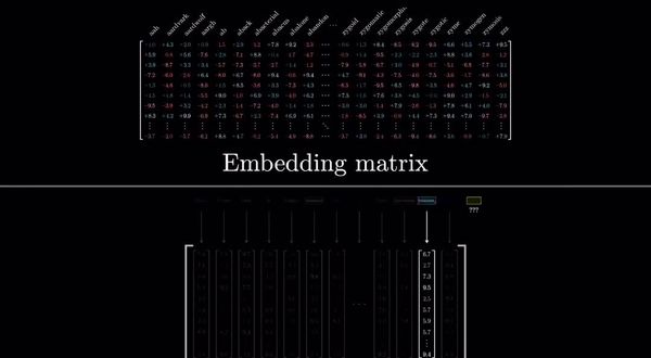 2 The complex reality behind the architecture of Gen