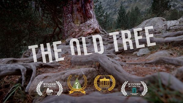 THE OLD TREE - YouTube