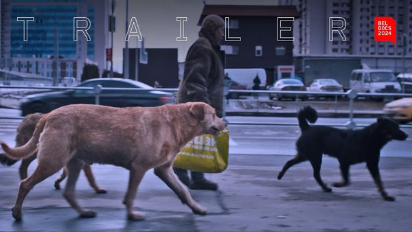 (115) Dreaming Dogs | Trailer | BELDOCS 2024 - YouTube