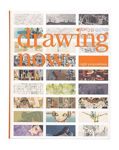 Drawing Now: Eight Propositions: Laura Hoptman: 9780870703621: Amazon.com: Books
