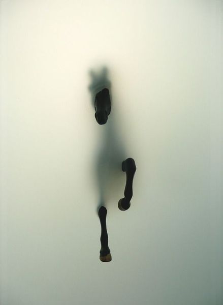 Subversion I   by Miriam Sweeney