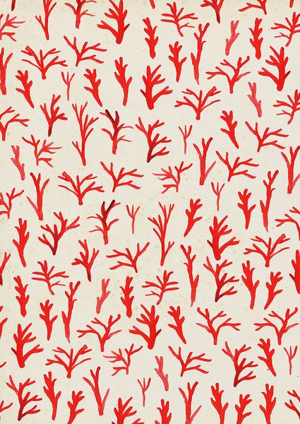 leawoodpecker:  Coral pattern.