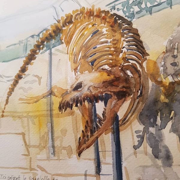 Aurélie Bourdin’s Instagram profile post: “Grrrrrrrrr! . Few weeks ago I've met beautiful spec…