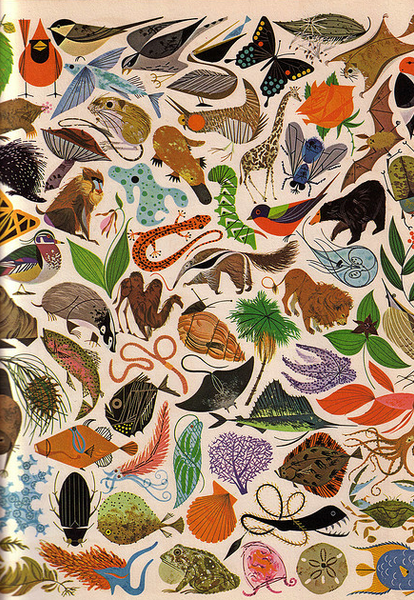 Charley Harper – Tree of Life.