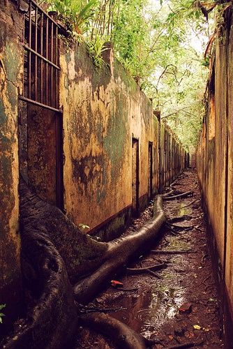 The abandoned prison complex on Isle St. Joseph, French Guiana. Remembered as one of the most infam…