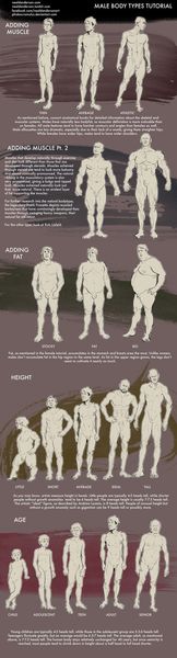 Male Body Types