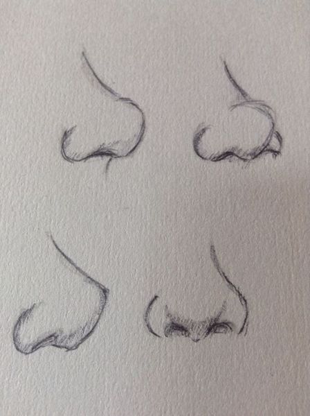 noses