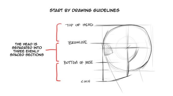 Head Guidlines