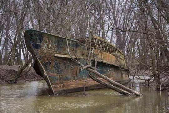 tumblr_nuq302U6PB1tql3eyo8_540