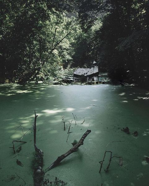 Swamp