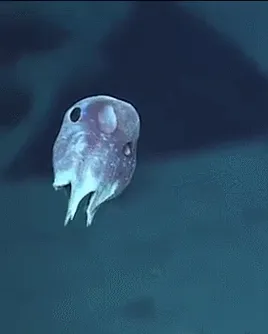 tumblr_orf8baAmHB1woeq9so1_400