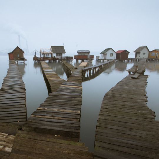 tumblr_n071lhzgjy1rs81xfo1_540