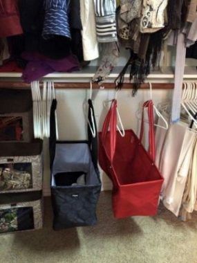 Hang totes with clothing hangers to add additional storage space to your closet.