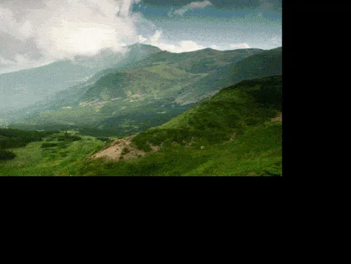 tumblr_n63m3b8OED1qb5gkjo4_500