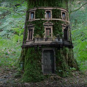Tree house!