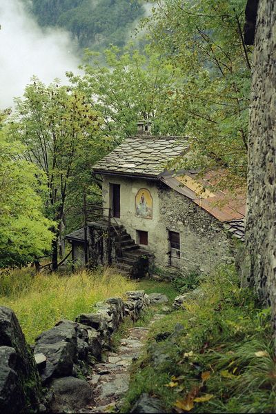 Misty Abandon by wildcatboar