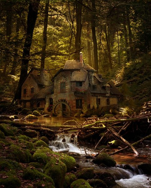 Die Schwartzwald, or The Black Forest, Bavaria, Germany as featured in The World’s Scariest Fores…