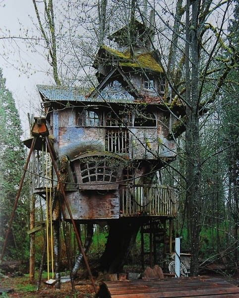 Abandoned tree house